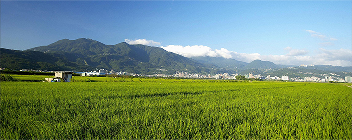 1497581479435274.jpg a.jpg